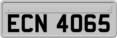 ECN4065