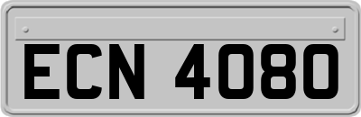 ECN4080