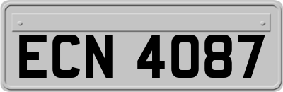 ECN4087