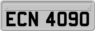 ECN4090