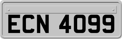 ECN4099