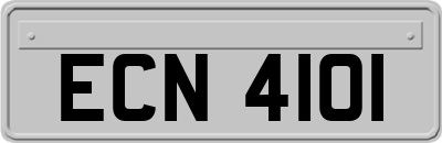 ECN4101