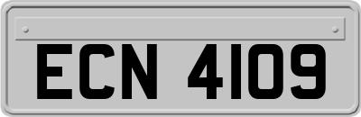 ECN4109