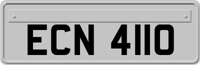 ECN4110