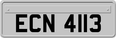 ECN4113