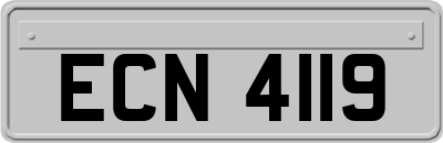 ECN4119