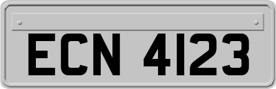 ECN4123