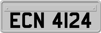 ECN4124