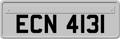 ECN4131