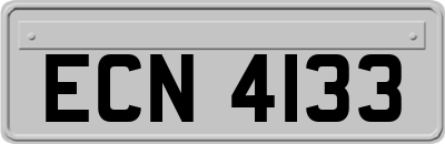ECN4133