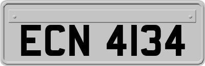 ECN4134
