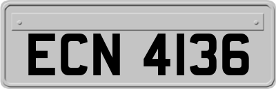 ECN4136