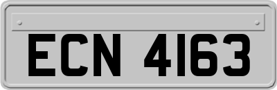 ECN4163