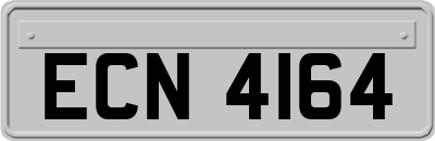 ECN4164