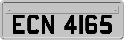 ECN4165