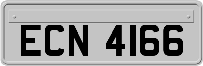 ECN4166