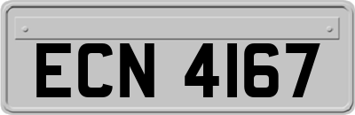 ECN4167