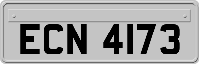 ECN4173
