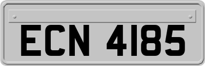ECN4185