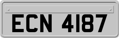 ECN4187