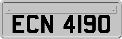 ECN4190