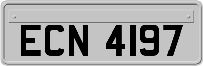 ECN4197