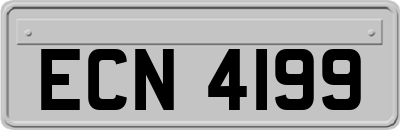 ECN4199