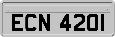 ECN4201