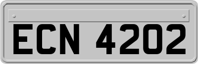 ECN4202