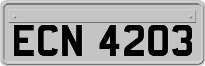 ECN4203