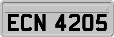 ECN4205