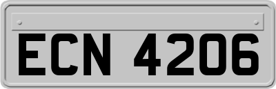 ECN4206