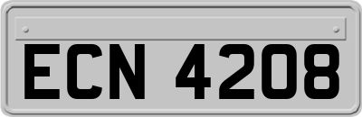ECN4208