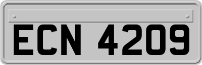 ECN4209