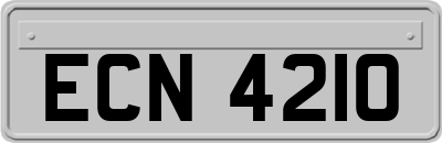 ECN4210