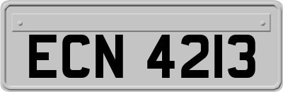 ECN4213