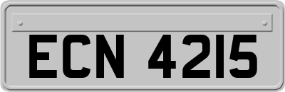 ECN4215