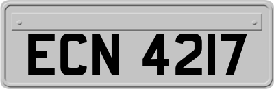 ECN4217