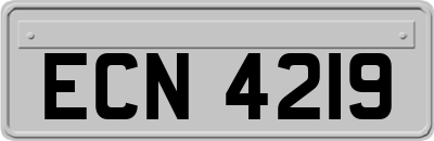 ECN4219