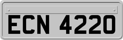 ECN4220