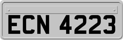 ECN4223