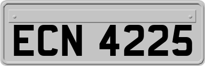ECN4225