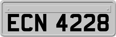 ECN4228