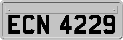 ECN4229
