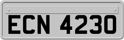 ECN4230