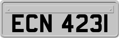 ECN4231