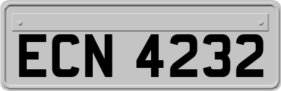 ECN4232