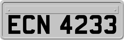 ECN4233