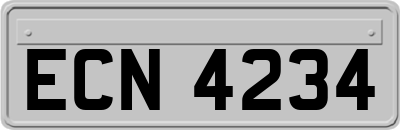 ECN4234
