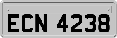 ECN4238